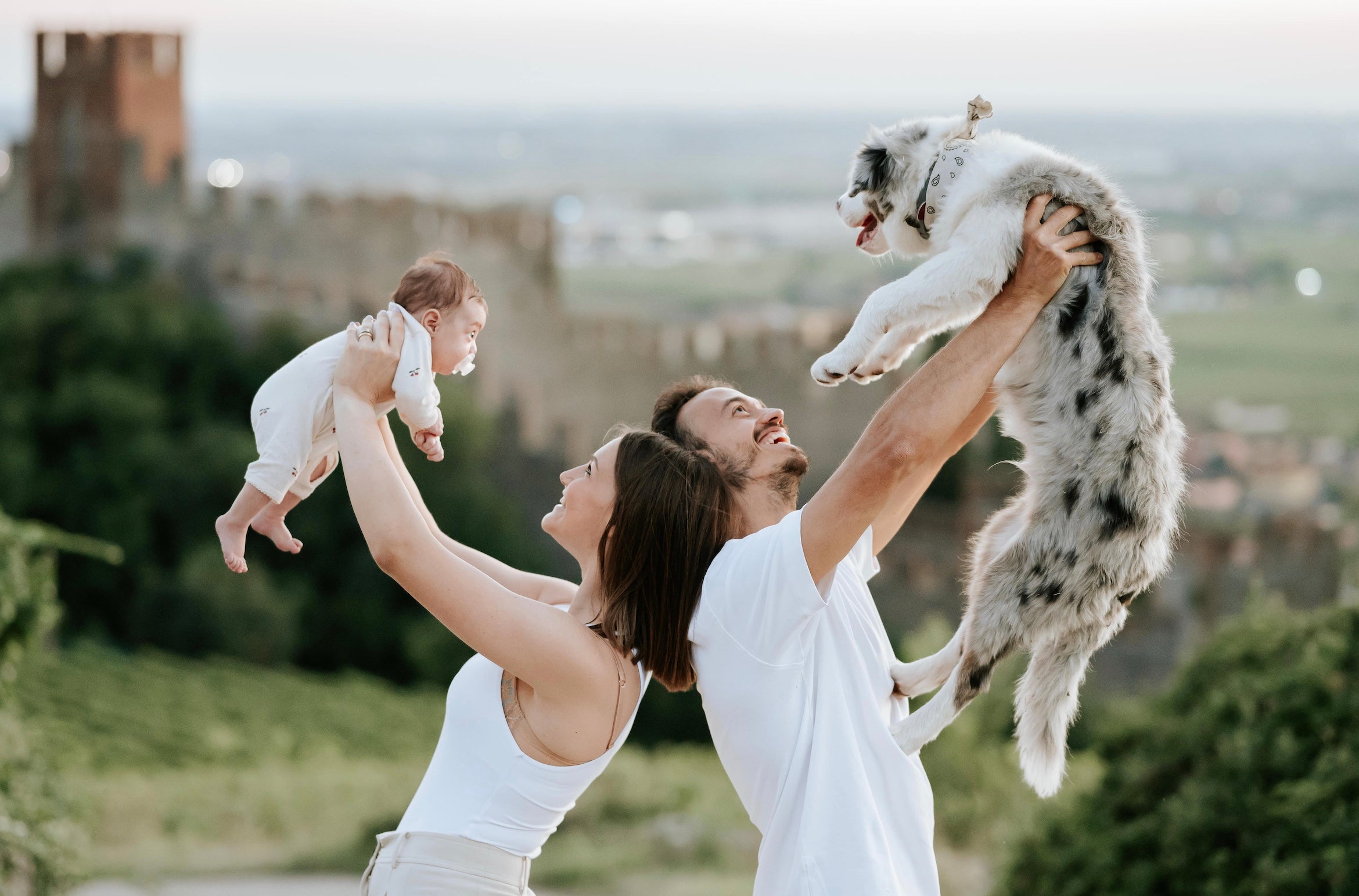 Iconize - Shooting fotografico professionale